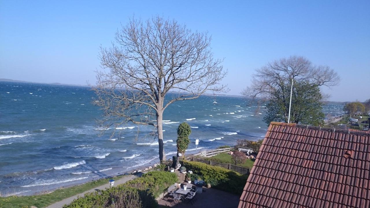 Strandappartements Steinberghaff "Kegnaes" Mit Meerblick Und Sauna Steinberg  Exterior photo