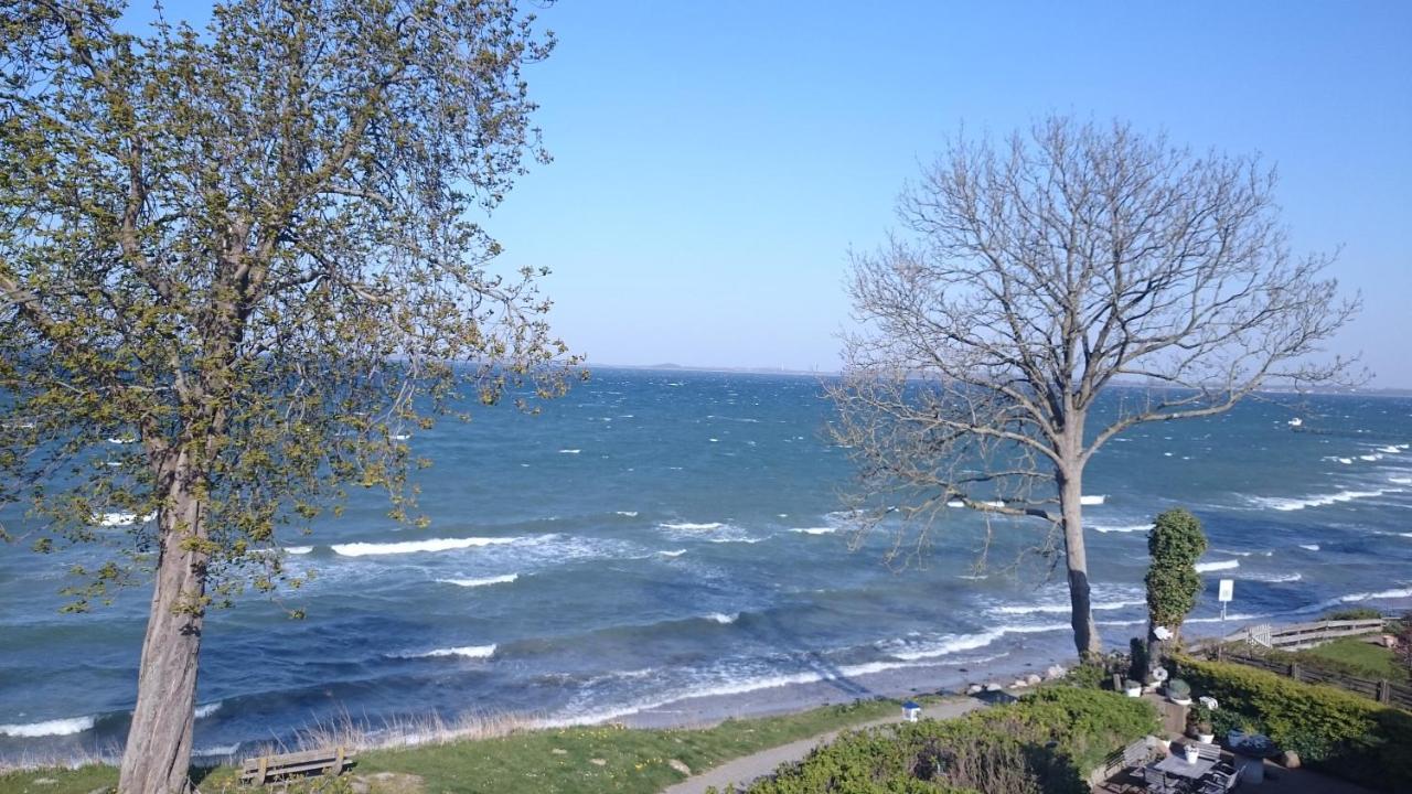 Strandappartements Steinberghaff "Kegnaes" Mit Meerblick Und Sauna Steinberg  Exterior photo